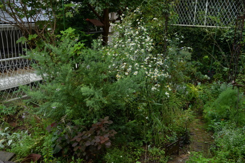 e0335926_23035503.jpg