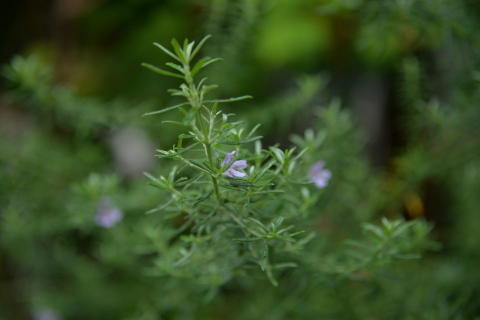 e0335926_23073771.jpg