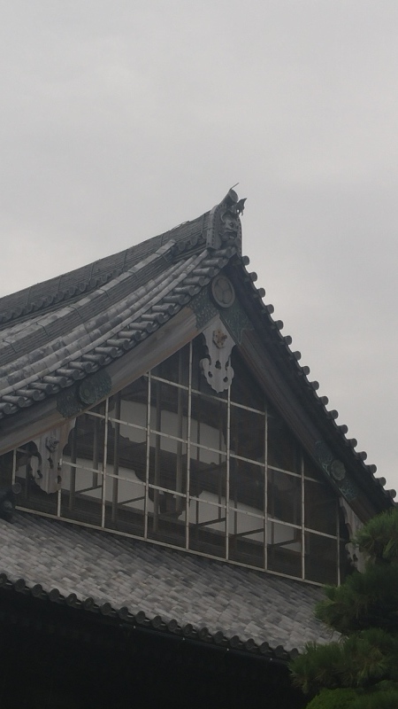 時志観音とガラス工芸家「黒木国昭さん」の鯉(*^^*)_f0361132_14171954.jpg