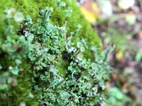 b0330040_19084140.jpeg