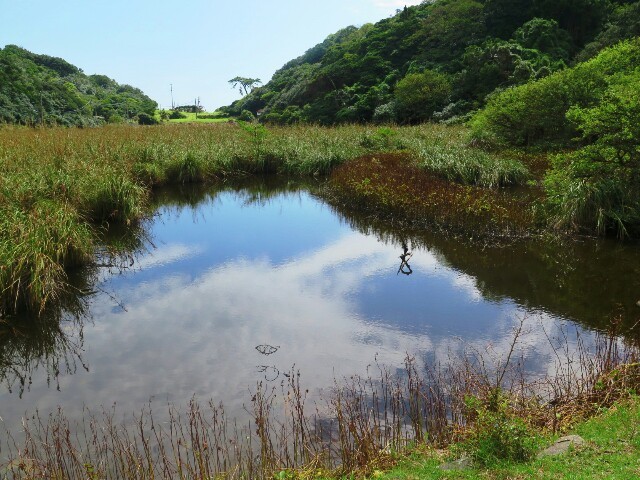 友が島にて　_c0292342_09545872.jpg