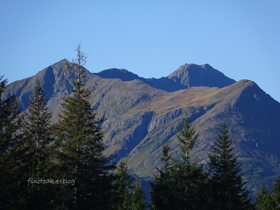 d0356844_13041904.jpg