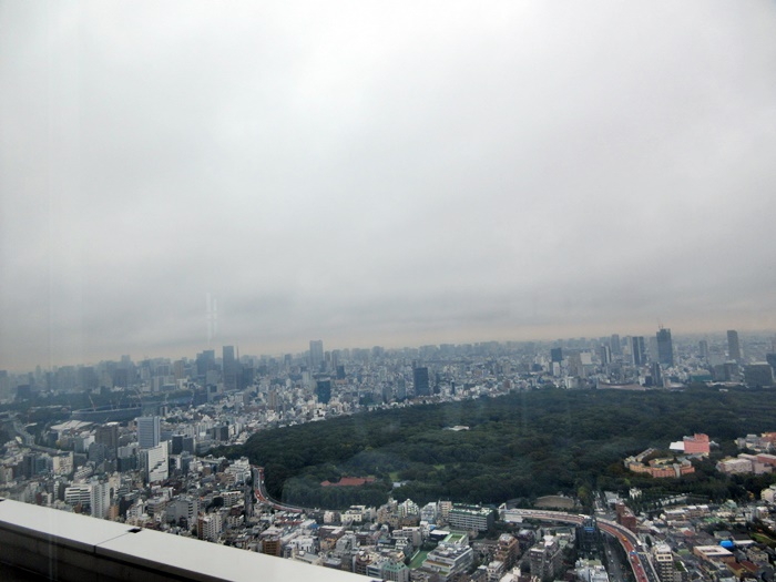 【パークハイアット東京】念願のニューヨークグリルでランチ_b0009849_18484187.jpg
