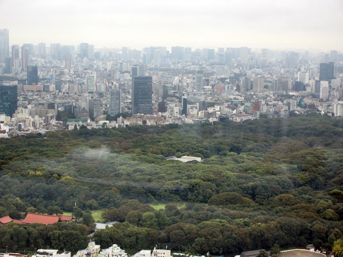 【パークハイアット東京】念願のニューヨークグリルでランチ_b0009849_18511429.jpg