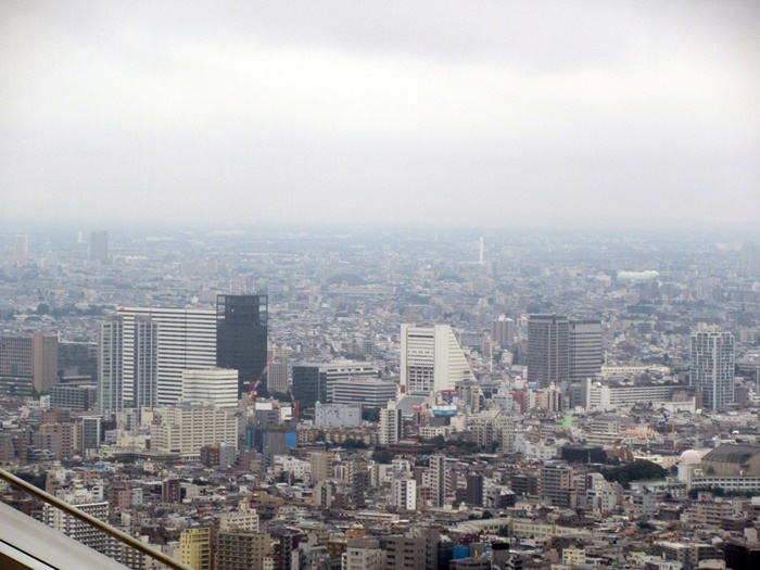【ニューヨークグリル】デザート編【パークハイアット東京】_b0009849_21205234.jpg