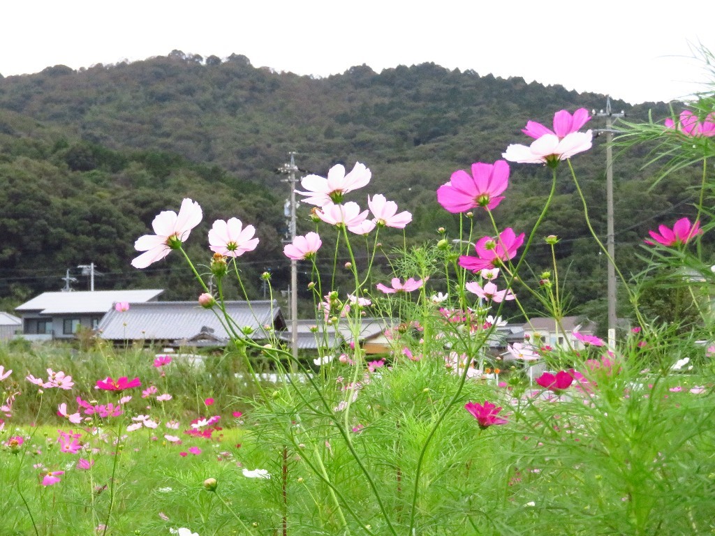 a0018655_09092222.jpg