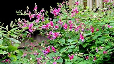 e0012055_22542514.jpg