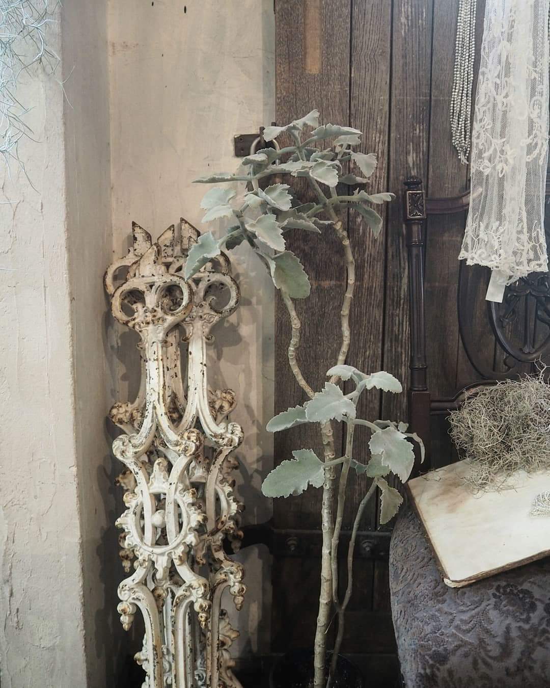 antiqueに心地よく馴染..._d0162257_23215470.jpg