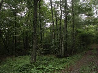 占い館あろは・北軽井沢店より、戻って参りましたぁ☆_d0045362_10172399.jpg