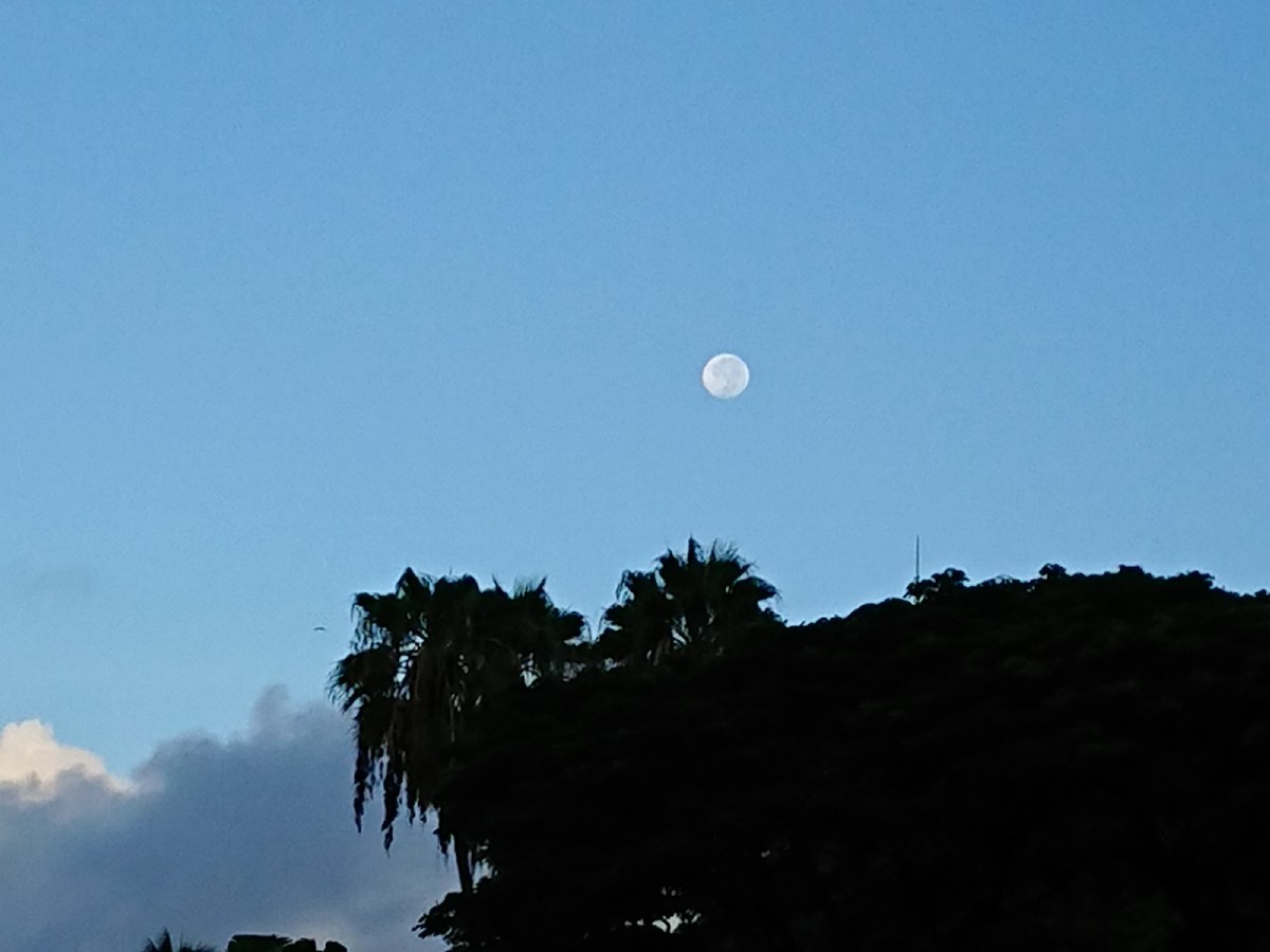c0100865_03122634.jpg
