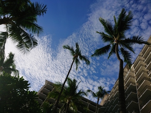c0100865_08244348.jpg
