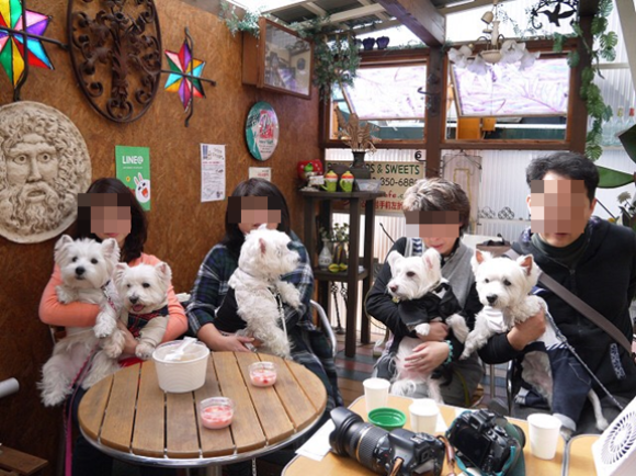 b0242873_11121032.png