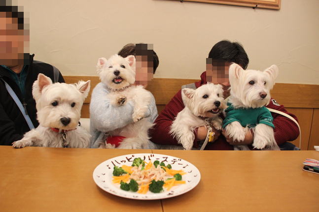 b0242873_11251613.png