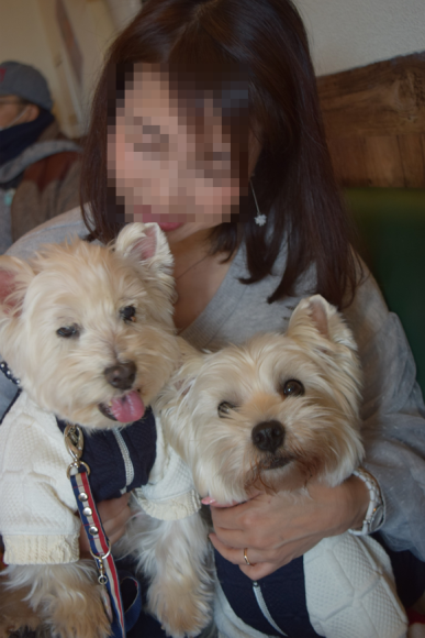 b0242873_11302360.png