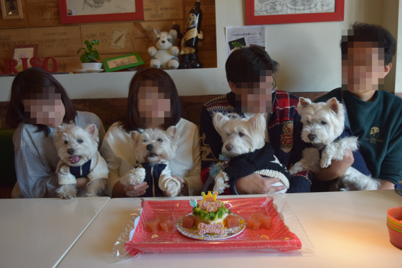 b0242873_11305149.png
