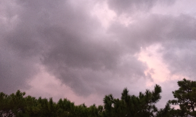 b0176278_22312044.jpg