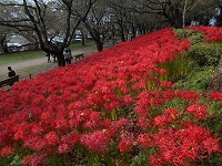 f0222378_9302522.jpg