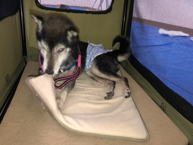 b0377882_17044526.jpeg