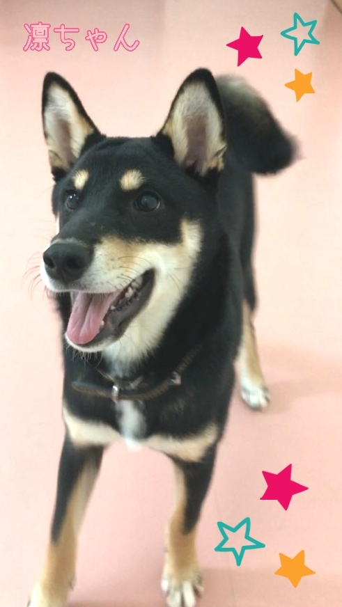 トレーニングブログ_f0357682_20204495.jpg