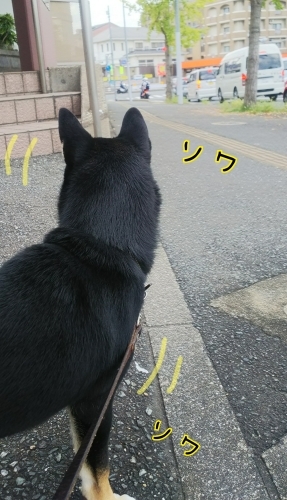 トレーニングブログ_f0357682_20280087.jpg