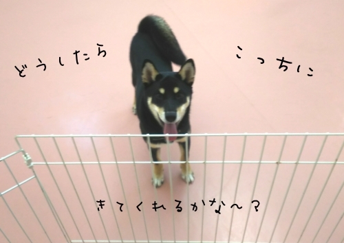 トレーニングブログ_f0357682_21143971.jpg