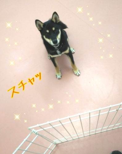 トレーニングブログ_f0357682_21192163.jpg
