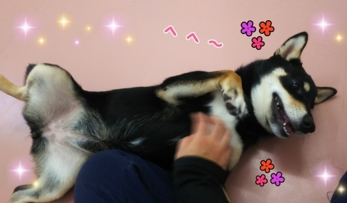 トレーニングブログ_f0357682_21281567.jpg