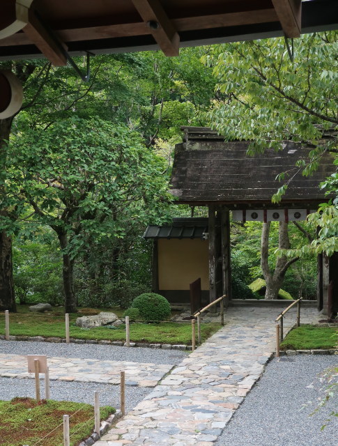 d0098183_16422142.jpg