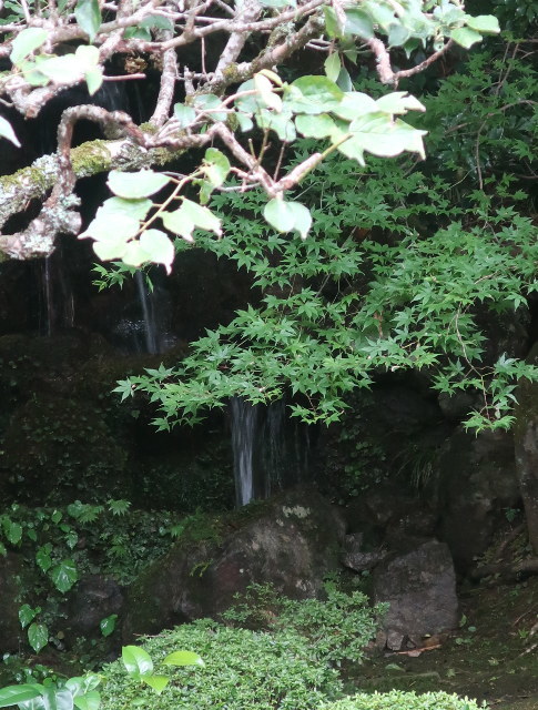 d0098183_16584678.jpg