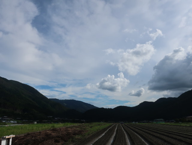 d0098183_17255996.jpg