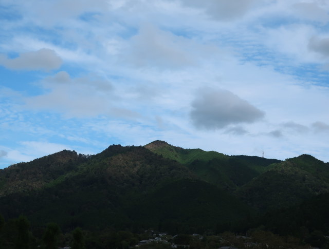 d0098183_17345919.jpg