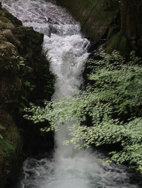 d0098183_18093940.jpg