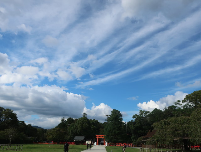 d0098183_18331461.jpg