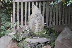 d0183387_18422920.jpg