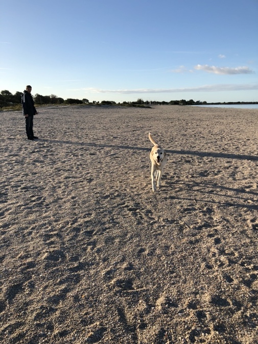 d0081889_20185149.jpeg