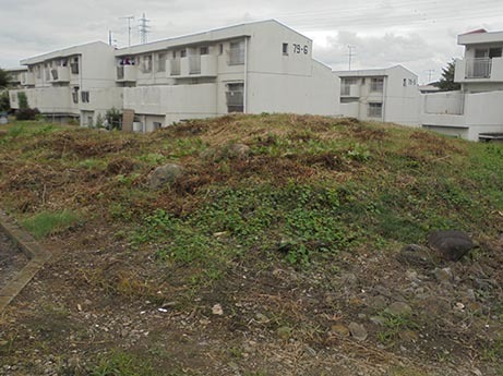 d0355894_23421772.jpg