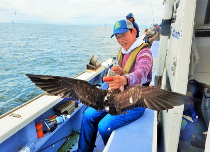 鳥が釣れる_e0077899_7442342.jpg