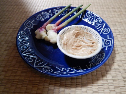 新ショウガを食おう_e0077899_813533.jpg