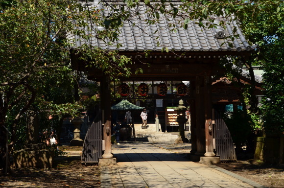 a0288500_21103193.jpg