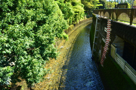 a0288500_21114102.jpg