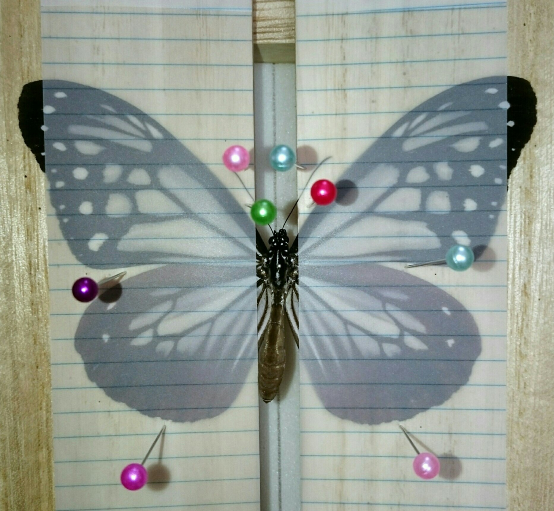a0361610_19590835.jpg