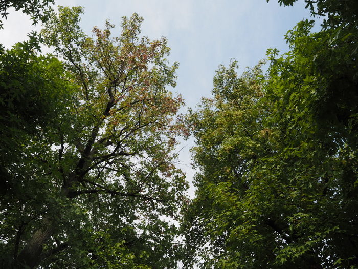 佐伯区民文化センター&五日市中央公園_c0116915_00012225.jpg