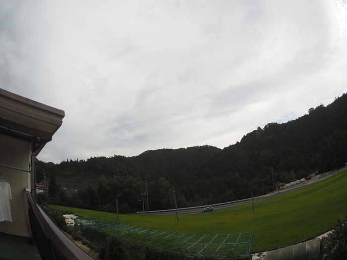 日が射し、のち曇った_c0116915_00241547.jpg