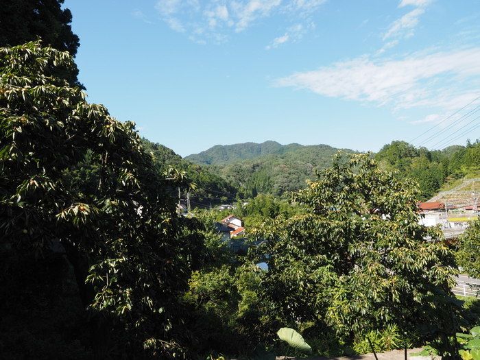 田んぼと寒山方面_c0116915_23130270.jpg