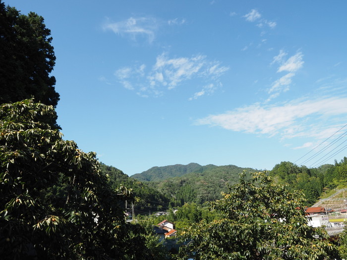 田んぼと寒山方面_c0116915_23131371.jpg