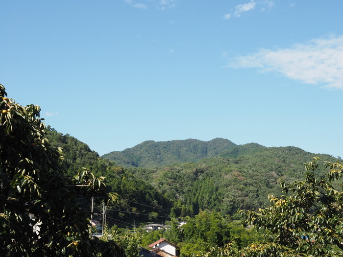 田んぼと寒山方面_c0116915_23132349.jpg