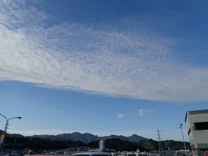 うろこ雲_c0116915_23291100.jpg