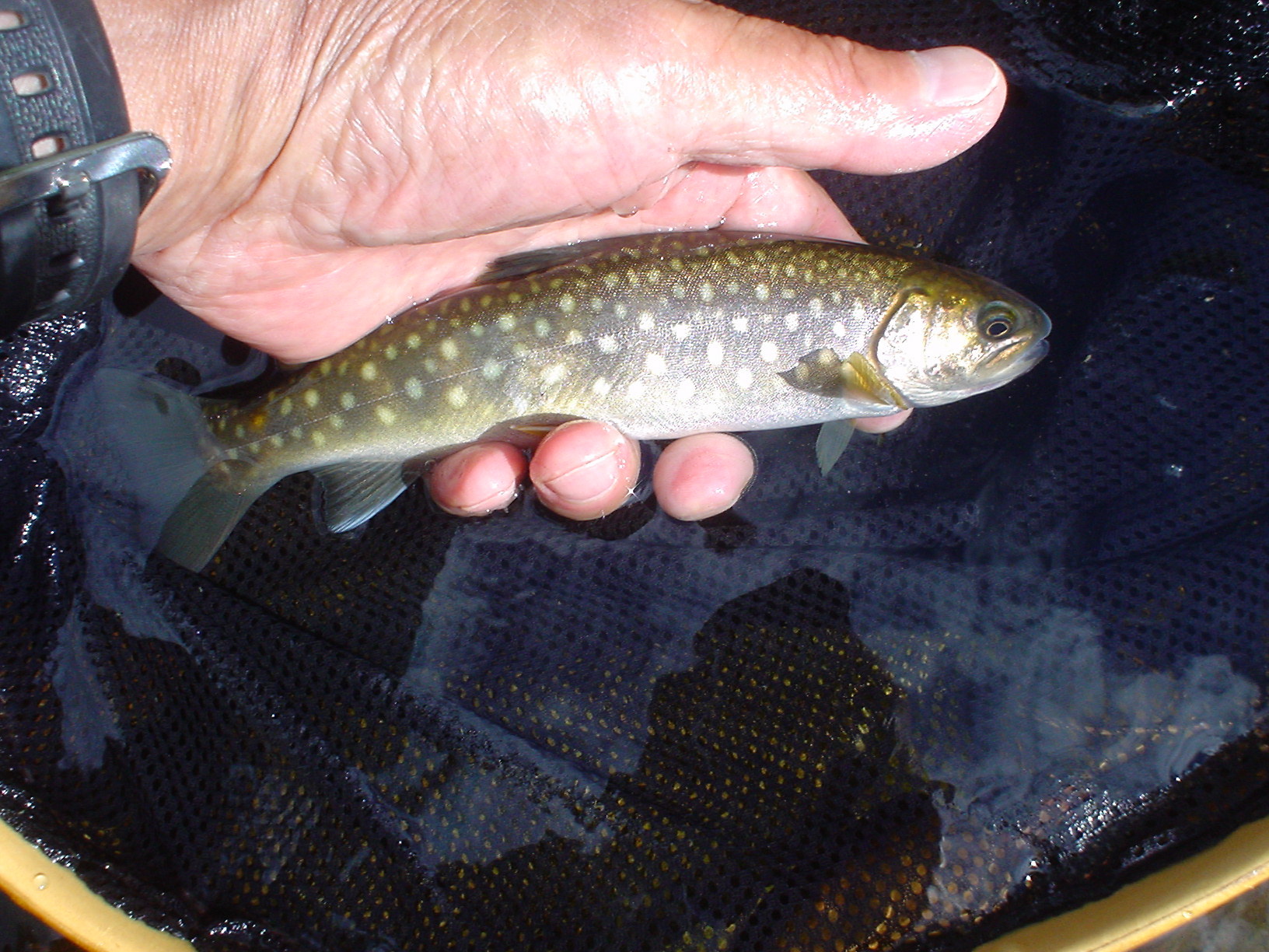 f0280717_05331258.jpg