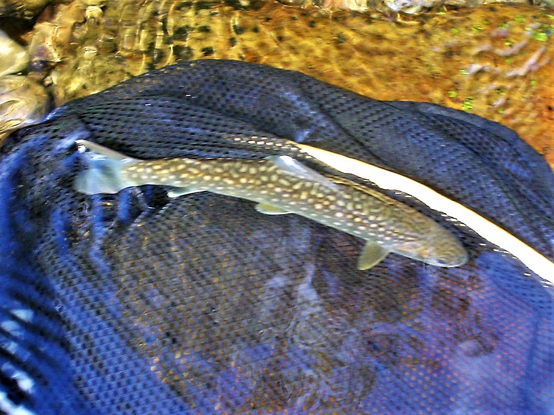f0280717_05352496.jpg