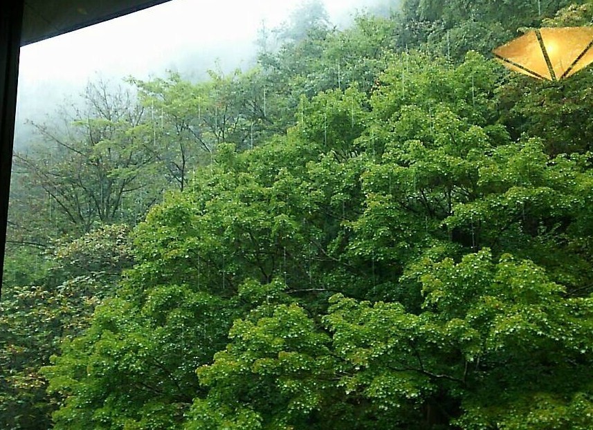 b0358719_10364054.jpg